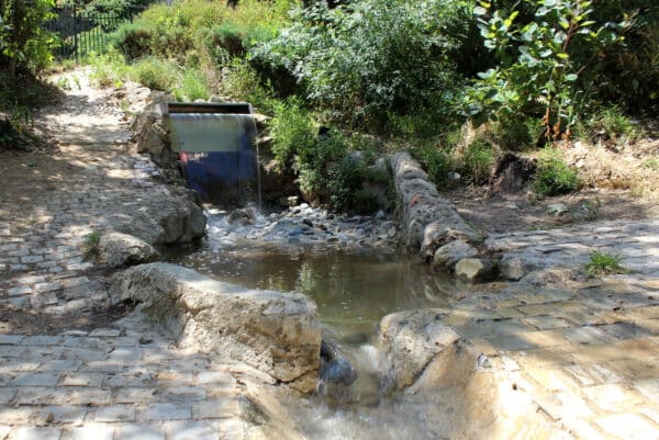 cascade-longchamp-riviere-ruisseau-canal-eau-ete-12