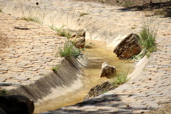 cascade-longchamp-riviere-ruisseau-canal-eau-ete-6
