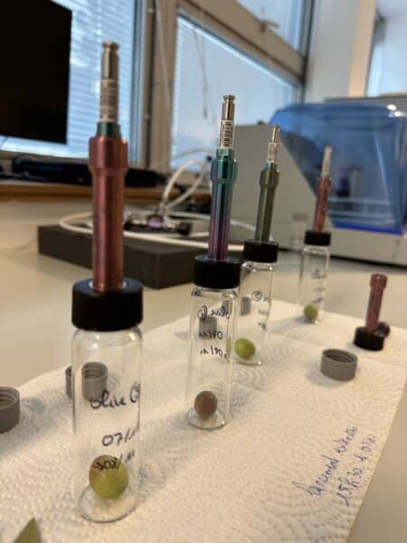 Cearitis, La start-up aixoise Cearitis veut faire mouche au Salon de l&rsquo;agriculture de Paris, Made in Marseille