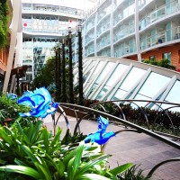 central-parc-allure-of-the-seas-jardin-bateau