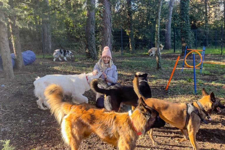 centre aéré chiens