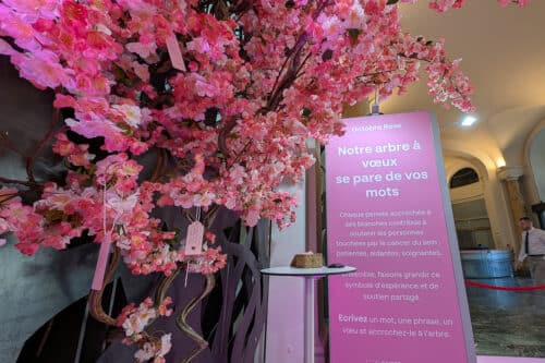 caisse d'&eacute;pargne cepac, Vid&eacute;o | La Caisse d&rsquo;&Eacute;pargne CEPAC s&rsquo;engage contre le cancer du sein pour Octobre Rose, Made in Marseille