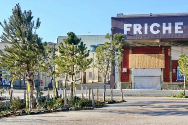 champ-de-mai-friche-jardin-parking-interview-filotico 2