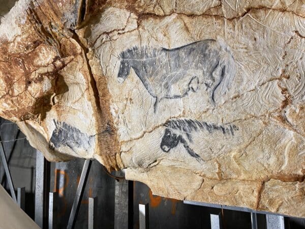 chevaux-cosquer-grotte-maroine-jit