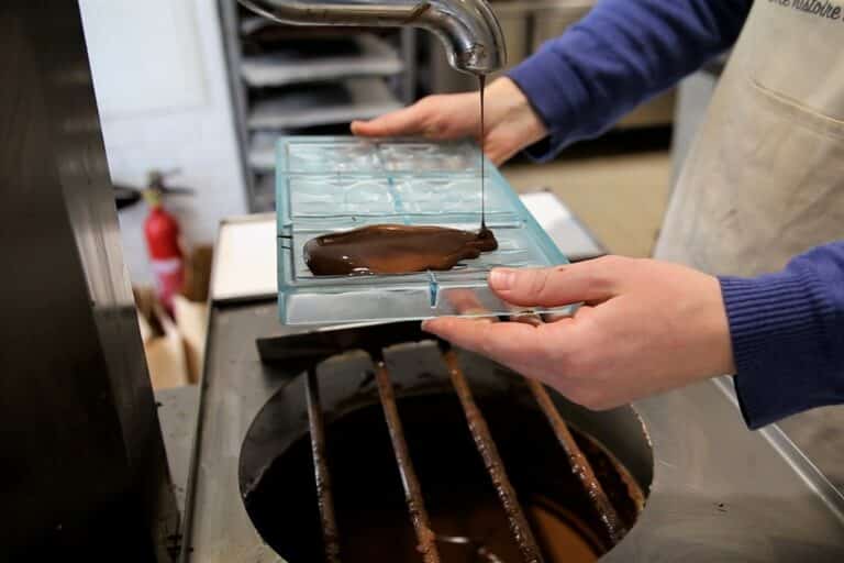 Vidéo | La Baleine à Cabosse : de la fève de cacao à la tablette de chocolat