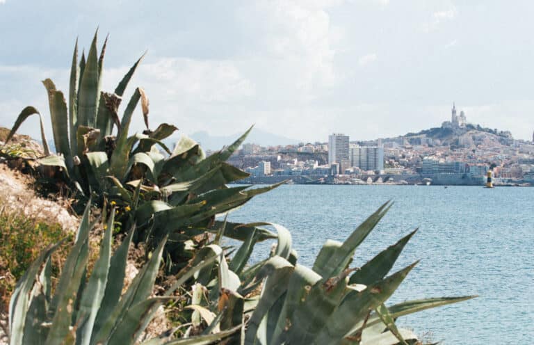 Josiane, l&rsquo;alcool d&rsquo;agaves du Frioul, vieillie en fût de chêne par l&rsquo;Atelier Ferroni