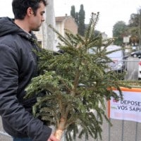 collecte-sapin-noel-marseille-provence