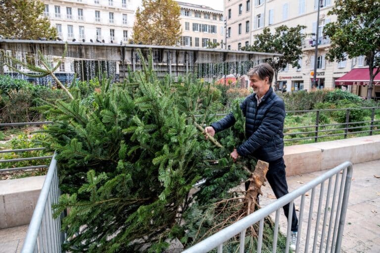 Bien commencer l’année en recyclant votre sapin de Noël
