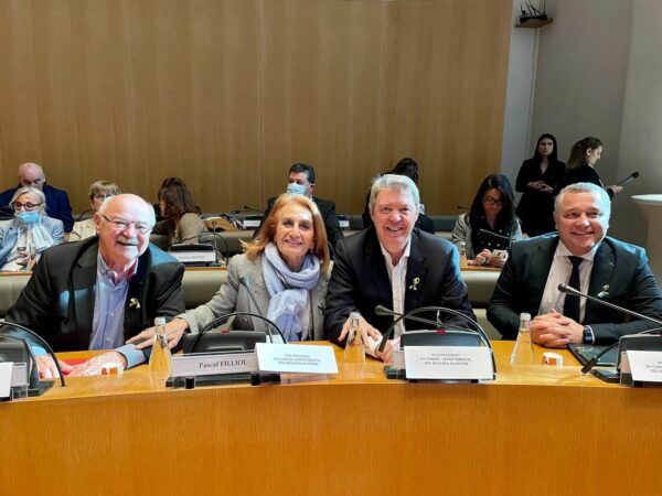 conseil-departemental-des-jeunes-de-provence-assemblee-4