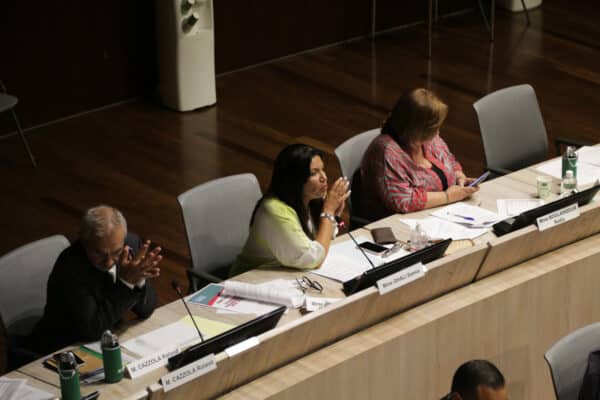 conseil-municipal-hémicycle-samia-ghali (5)