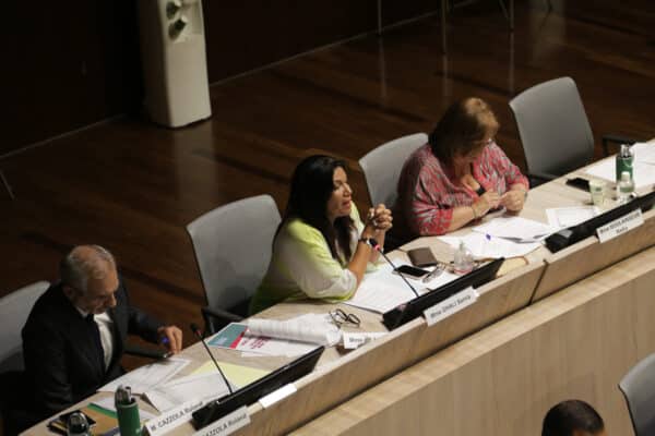 conseil-municipal-hémicycle-samia-ghali (7)
