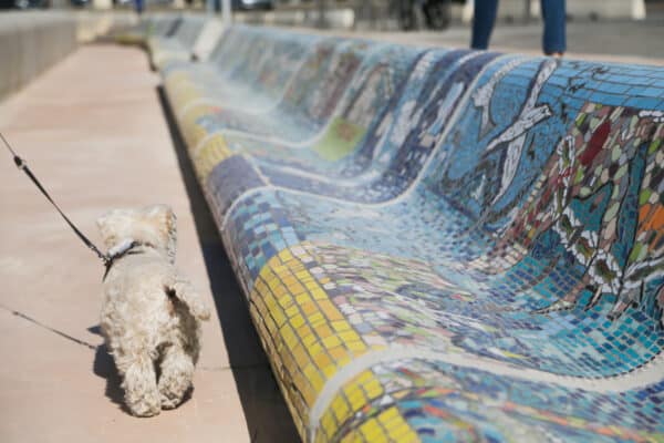 corniche-kennedy-mosaique