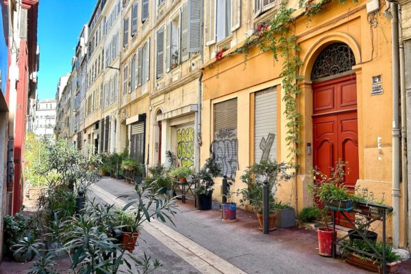 noailles-vegetalisation-nature-plantes-16