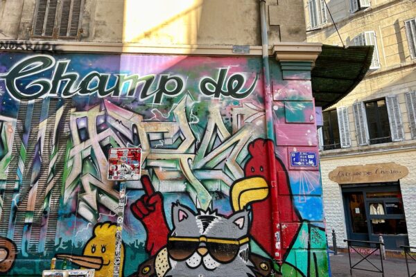 cours-julien-notre-dame-du-mont-street-art-19