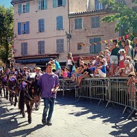 Saint Eloi, D&eacute;couvrez l&rsquo;histoire et l&rsquo;agenda des f&ecirc;tes de la Saint Eloi en Provence, Made in Marseille