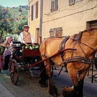 defile-charette-tradition-provence-costume