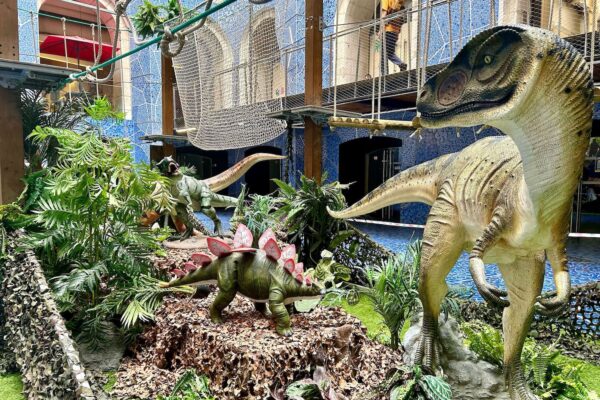 docks-village-aventure-dinosaures-accrobranche-4
