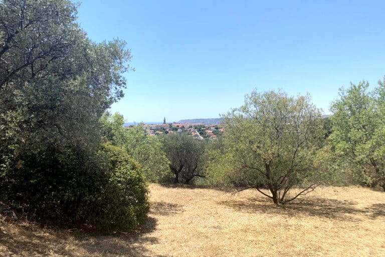 Domaine de l&rsquo;Annonciade : bientôt un nouveau parc dans le quartier des Borels à Marseille
