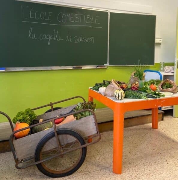 ecole-comestible-air-bel