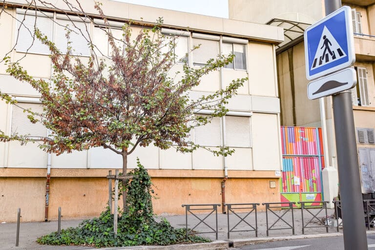 La première école bilingue en provençal ouvre à Marseille