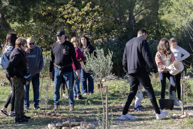 Une forêt replantée à Sausset grâce à un moteur de recherche internet écolo