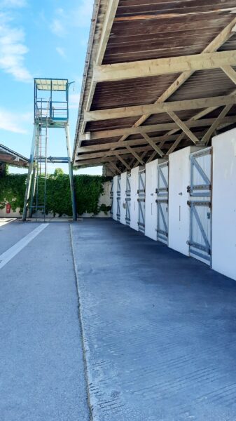 ecurie-hippodrome-chevaux-borely