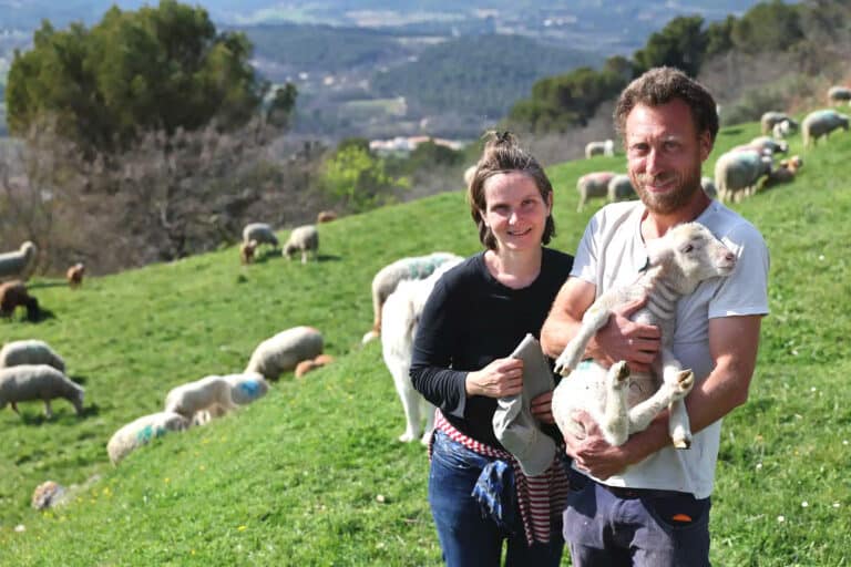 Le Département aux cotés des agriculteurs provençaux pour développer les circuits-courts