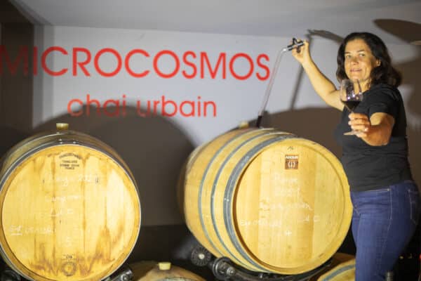 fabienne-vollmy-chai-microcosmos-3