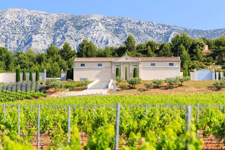 Le Fascinant Week-end, des activités uniques dans les vignobles de Provence, Bandol et Sud Luberon