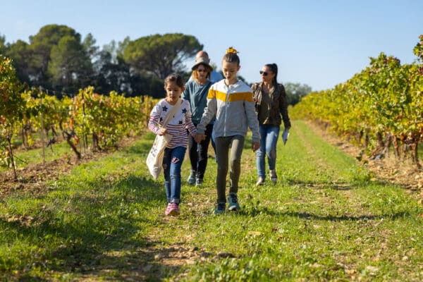 fascinant-weekend-provence-bandol-vignobles-2023-5
