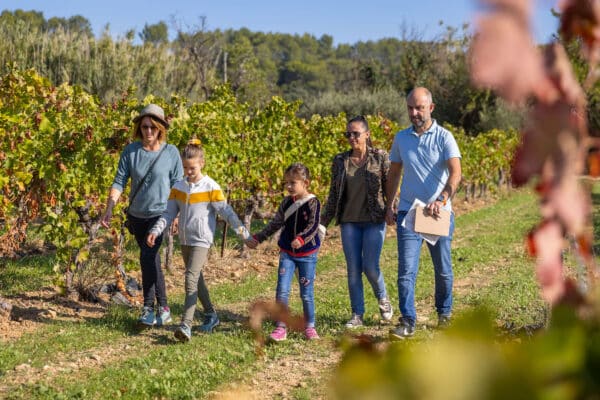 fascinant-weekend-provence-bandol-vignobles-2023-6