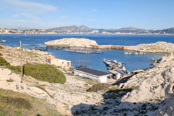 ferme-aquacole-frioul-aquaculture-loup-poisson-bio-1