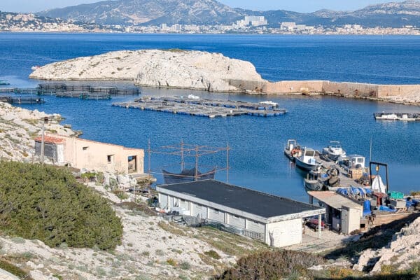 ferme-aquacole-frioul-aquaculture-loup-poisson-bio