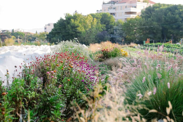 Les 48h de l&rsquo;agriculture urbaine sont de retour le week-end des 14 et 15 mai
