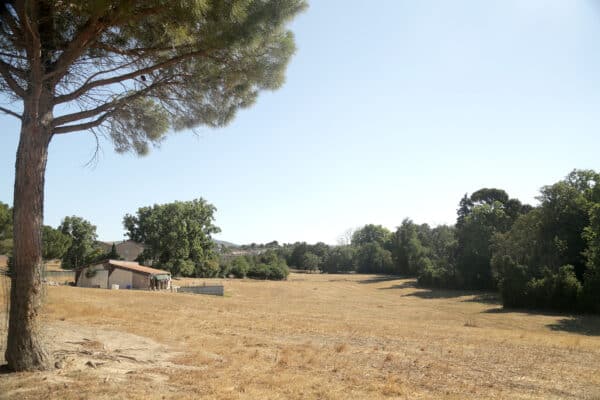 ferme-tour-des-pins