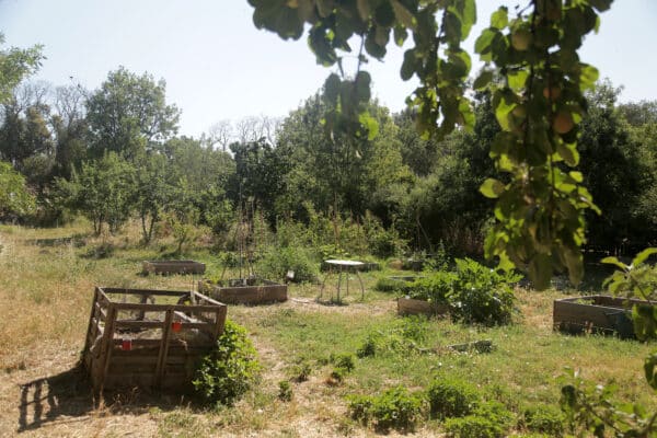 ferme-tour-des-pins-potager