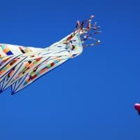 , Le Festival international du cerf-volant ou &laquo;&nbsp;F&ecirc;te du vent&nbsp;&raquo; au Prado, Made in Marseille