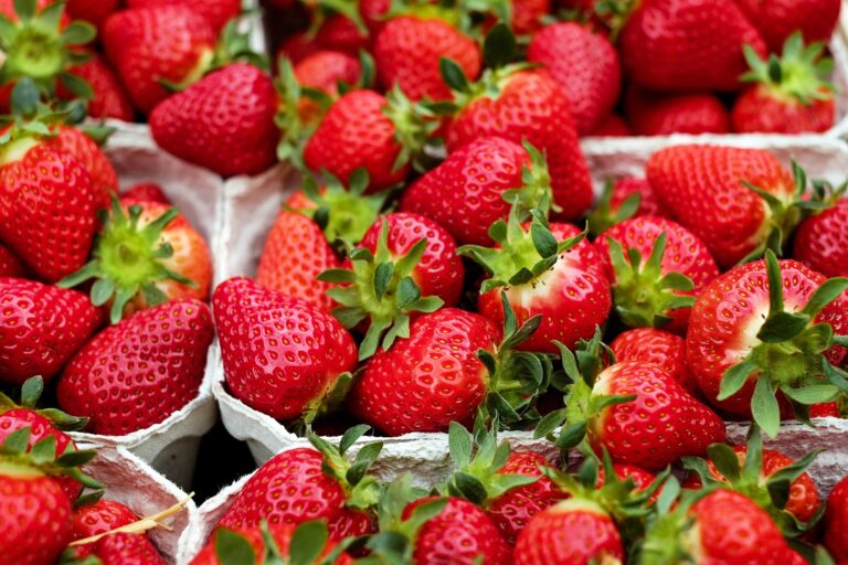 La traditionnelle fête de la fraise revient ce samedi 15 avril à Carpentras