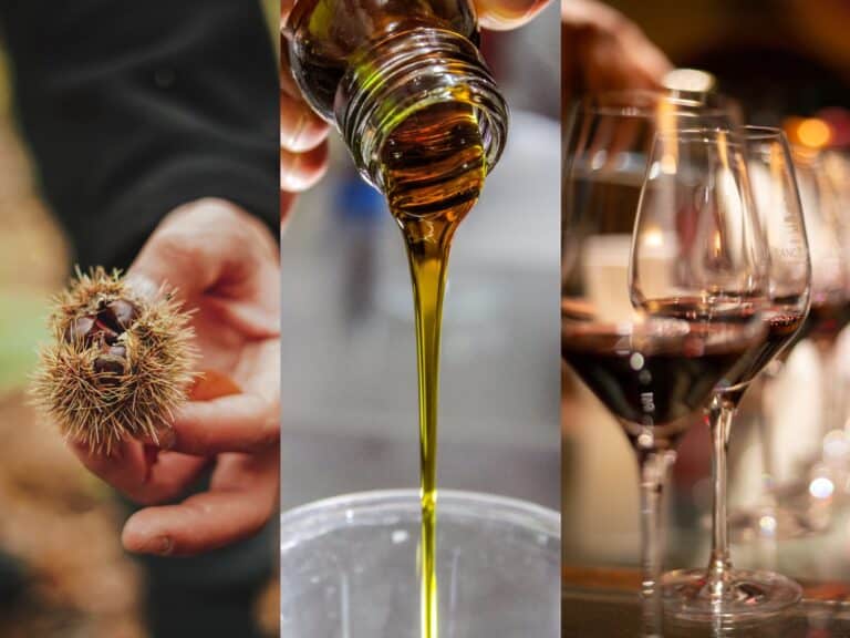 Les grandes fêtes des produits du terroir cet automne en Provence