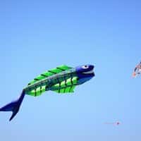 , Le Festival international du cerf-volant ou &laquo;&nbsp;F&ecirc;te du vent&nbsp;&raquo; au Prado, Made in Marseille