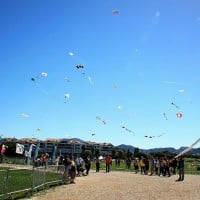 , Le Festival international du cerf-volant ou &laquo;&nbsp;F&ecirc;te du vent&nbsp;&raquo; au Prado, Made in Marseille