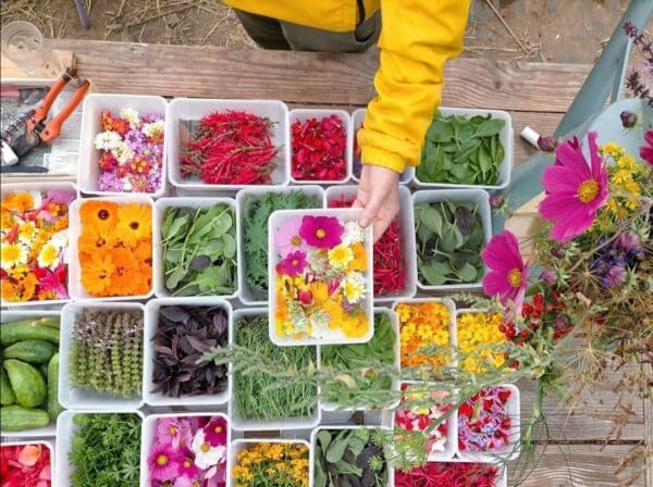fleurs-bigoud