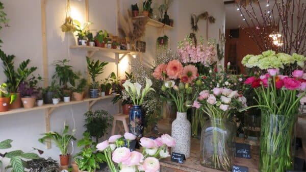 fleurs-butinerie