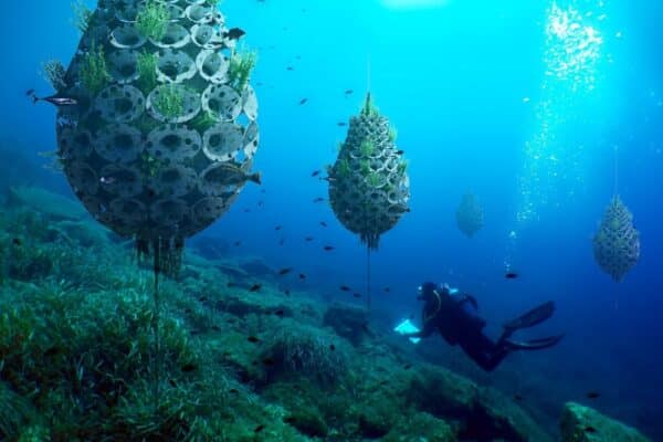 floating-reef-tangram-rougerie-recif-bouee-mouillage