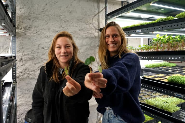 Les micro pousses, avenir de l’agriculture durable à Marseille ?