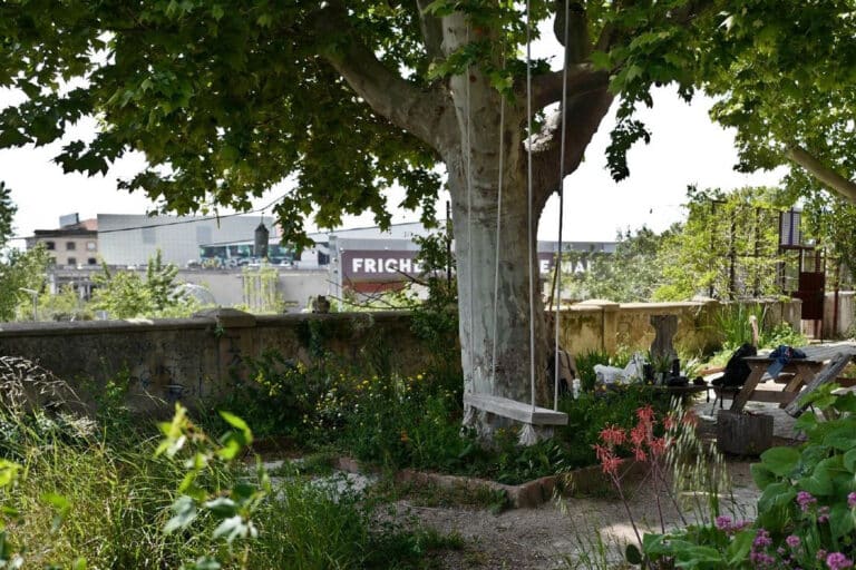 forêt urbaine friche