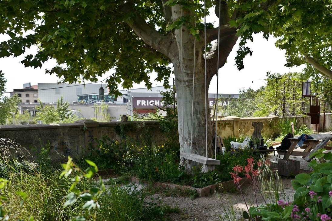 forêt urbaine friche