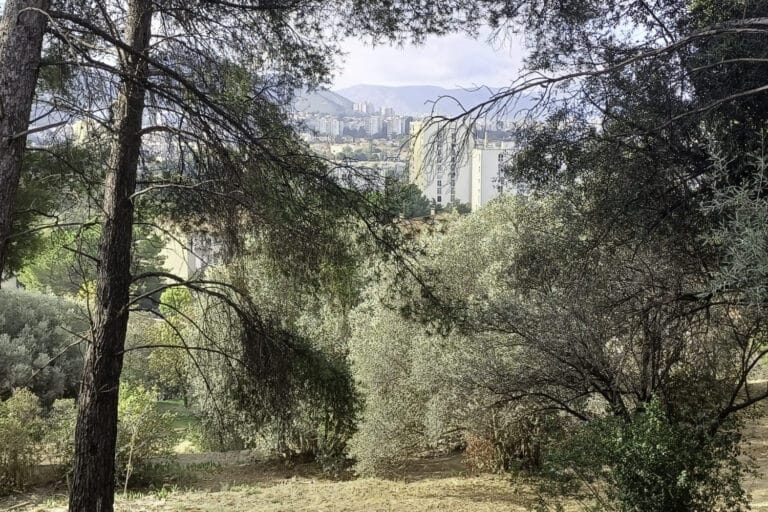 Un appel à projets pour se réapproprier les friches naturelles urbaines de Marseille