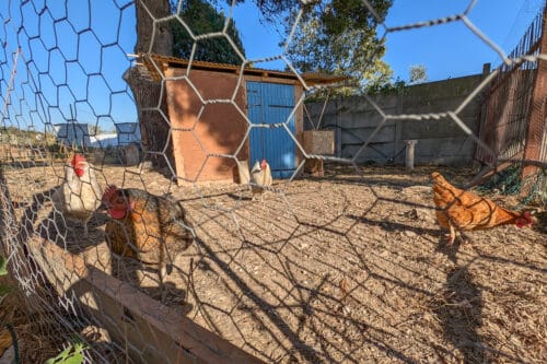 bastide, Dans une bastide entour&eacute;e d&rsquo;usines, un p&ocirc;le artistique reprend vie dans les quartiers Nord, Made in Marseille