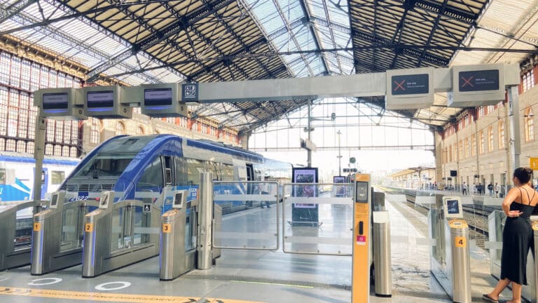 Suppressions de trains : le trafic perturbé à Saint-Charles les week-ends de mai